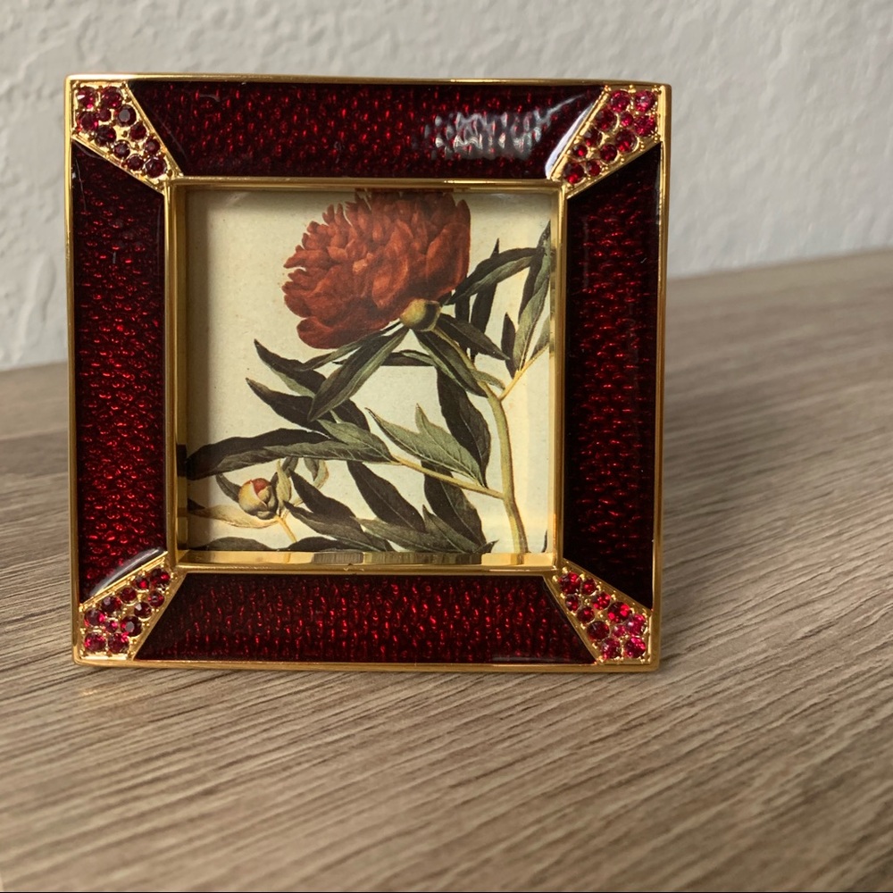 Jay Strongwater picture frame